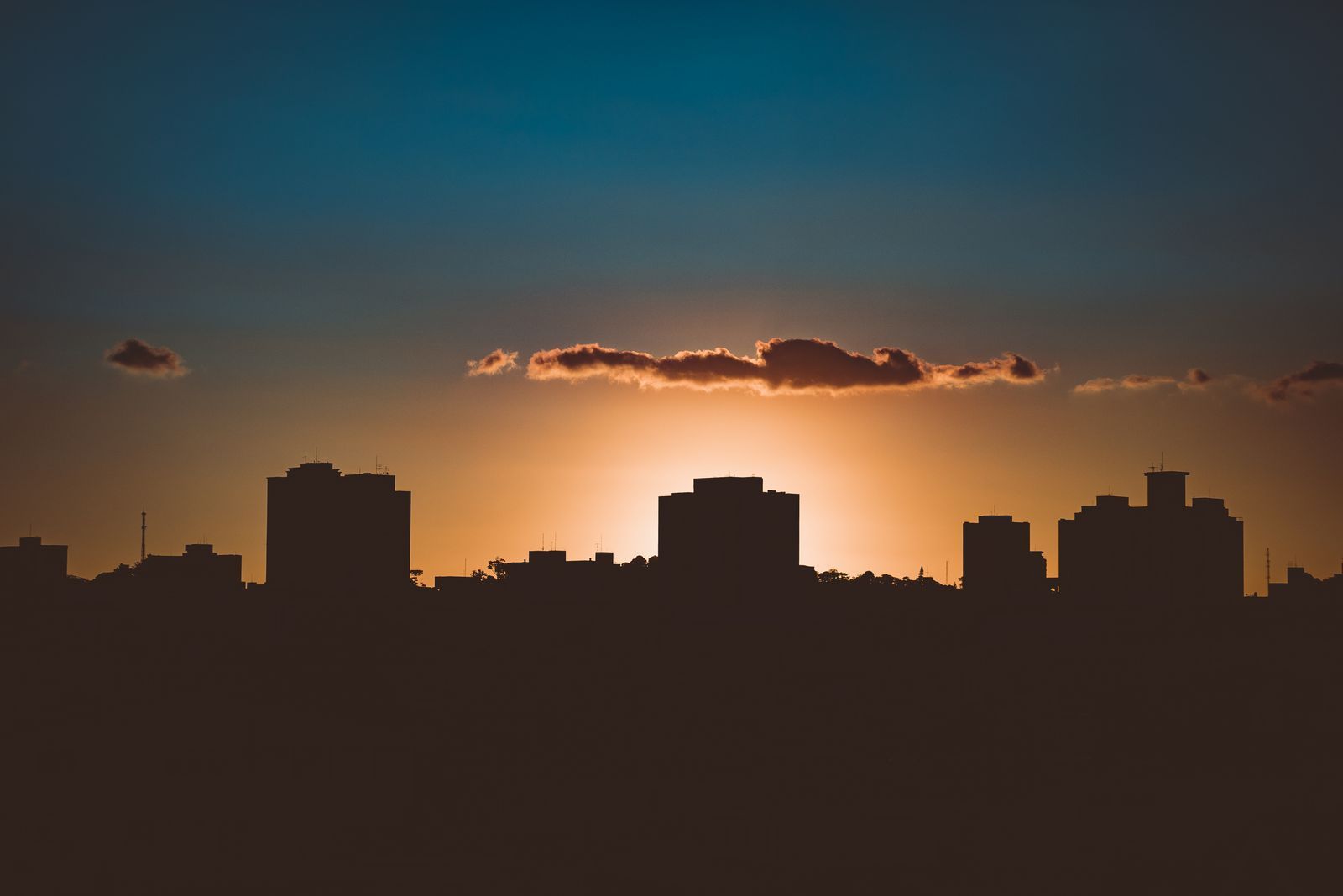 A city skyline
